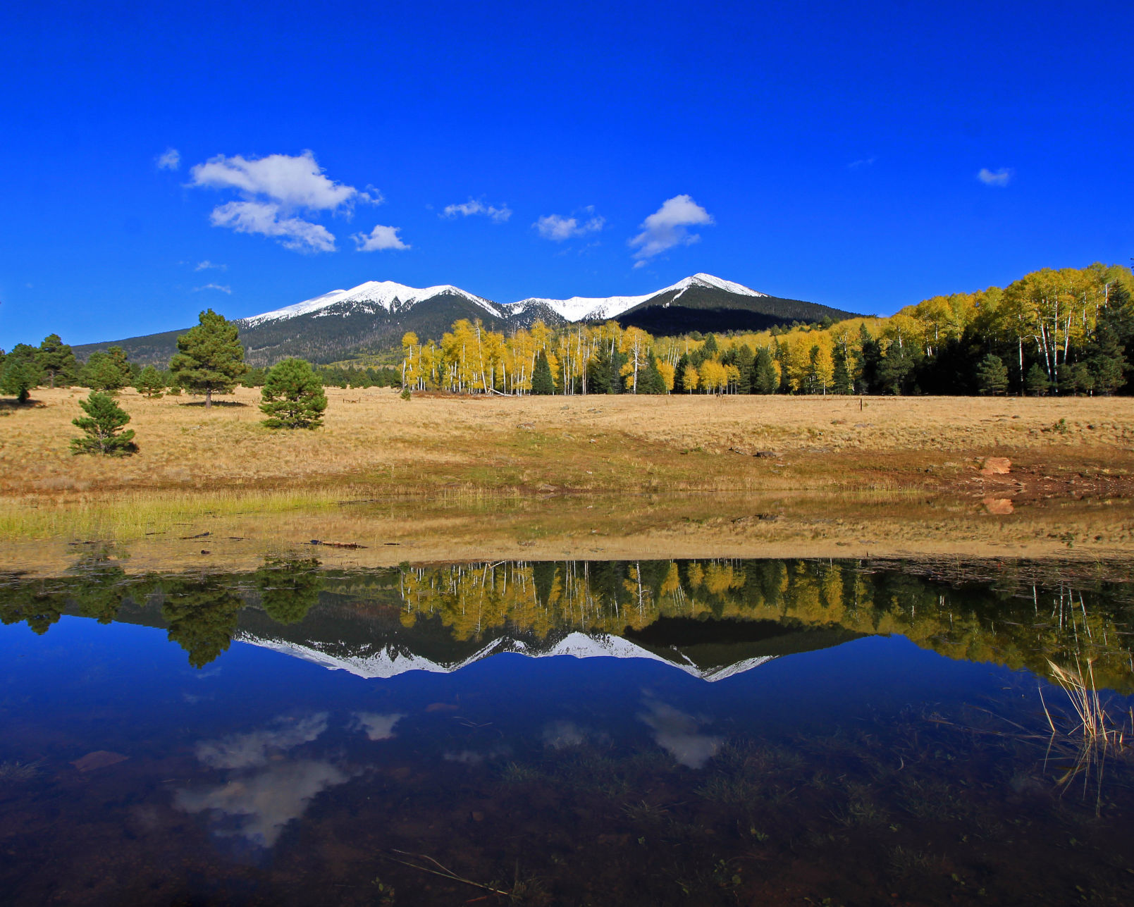 Reflections
